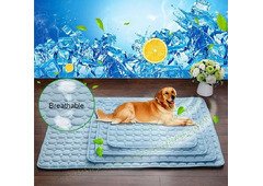 Dog Cooling Pads: Comfort for Your Furry Friend (Washington)