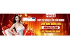 Sân Bóng Chuyền Đẹp Nhất Việt Nam