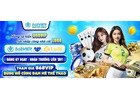 Kích Thước Sân Bóng Bàn Tiêu Chuẩn – Thông Số Cụ Thể Bạn Cần Biết