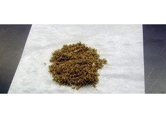 Top-Grade Infused Paper – Ready for Order